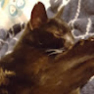 Meet your Posher, Audrey